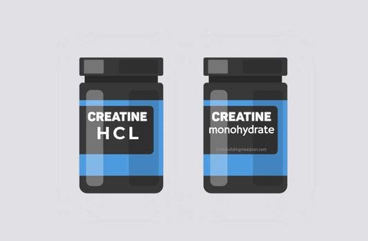 Comparing Creatine Monohydrate and Creatine HCL: Which is Best for Sports Supplementation?