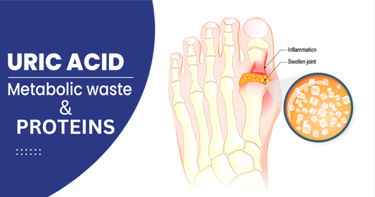 Proteins and Uric Acid: Understanding the Link & Choosing the Right Proteins