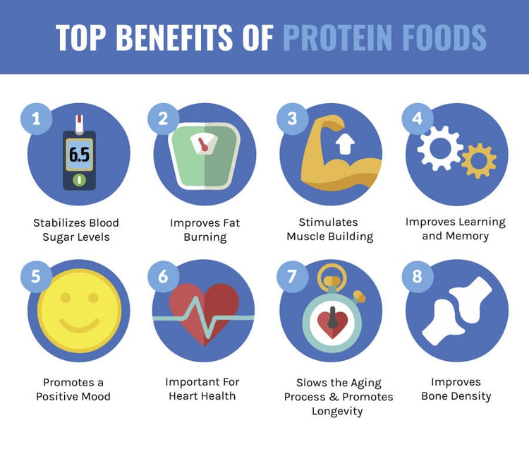 WHEY PROTEINS- Benefits, Types & Muscle Building – Osoaa