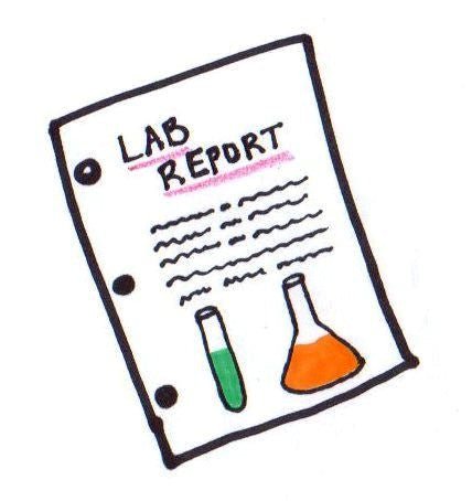 Why Asking for Lab Reports is Crucial Before Purchasing the Protein?