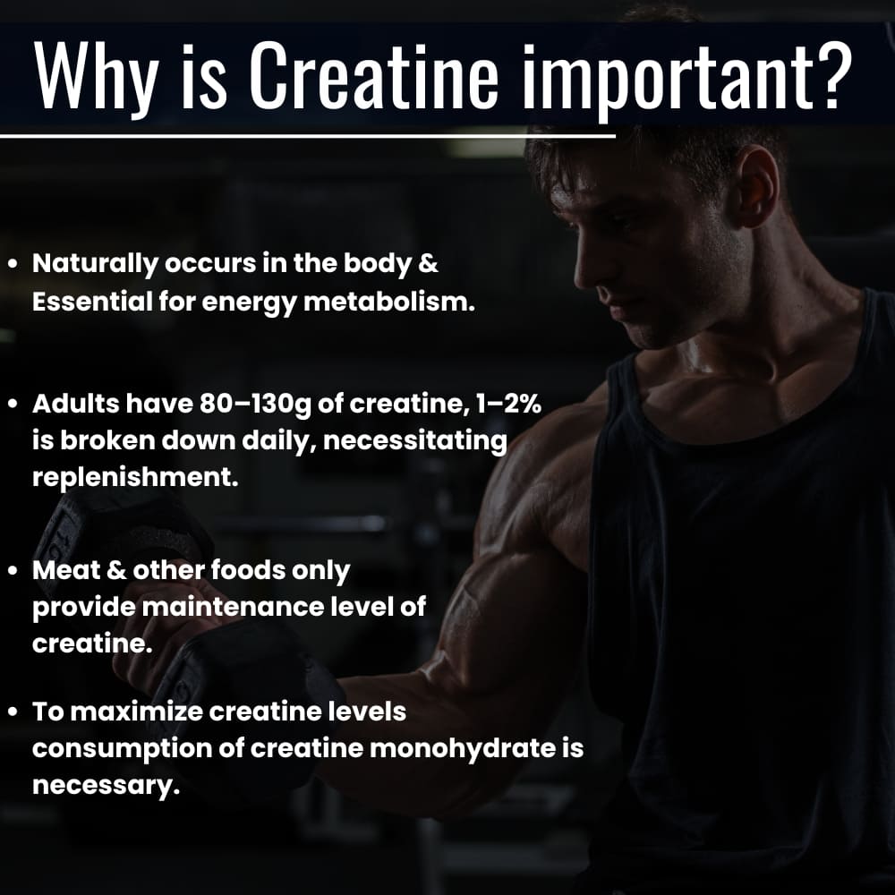 OSOAA Micronized Creatine Monohydrate  (Unflavored)