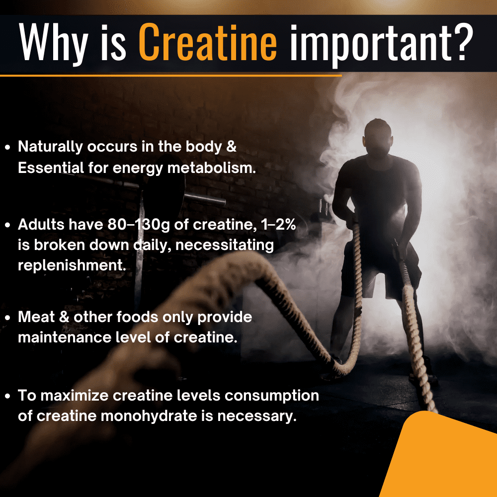 Osoaa German Certified Creatine Monohydrate (CREAPURE) 250g || 1000mg Root Extract Ashwagandha ( Like KSM-66) - 60 Tablets