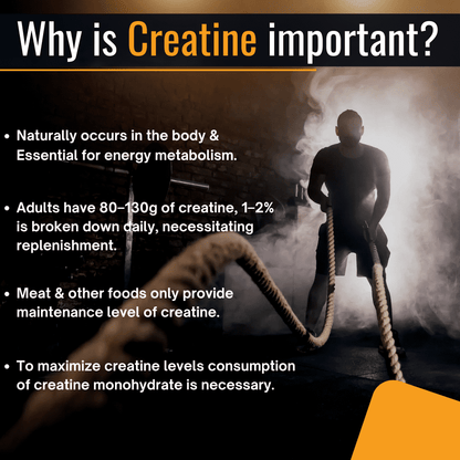 Osoaa German Certified Creatine Monohydrate (CREAPURE) 250g || 1000mg Root Extract Ashwagandha ( Like KSM-66) - 60 Tablets