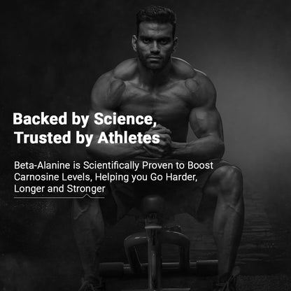 beta alanine supplement